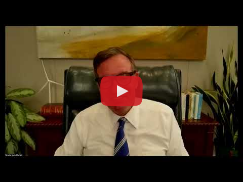 VIDEO: Senator Mark Warner - Midterms in Jeopardy: A Partners 4 Democracy Webinar hosted by Robert Siegel, Former NPR Host 